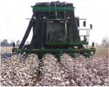 slightly inhibited in drought stressed cotton and higher rates and/or surfactants may be needed.