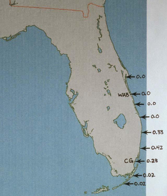 White Mangrove Male Frequency in Florida East coast: Abrupt shift to no males north of Boca Raton; hermphroditic plants
