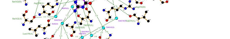 Carbon atoms (black), oxygen atoms (red), nitrogen atoms (blue), phosphorus atoms