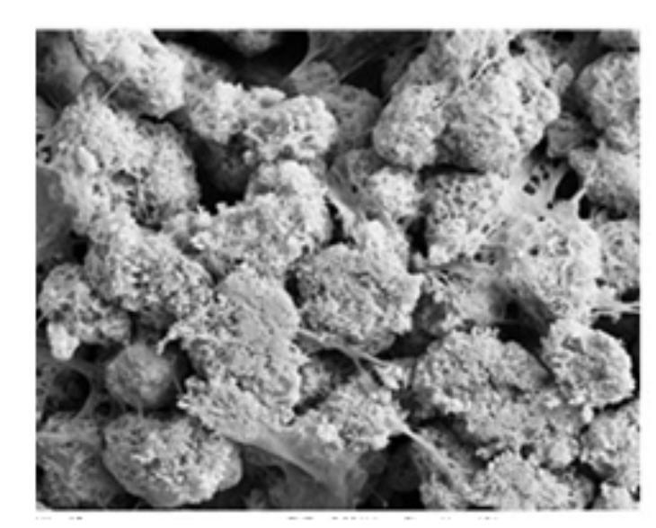 Experimental 2/4: Pigment coating binders Micro-fibrillated cellulose (MFC) Arbocel MF-40-7 (J. Rettenmaier & Söhne GmbH + Co KG) 22.