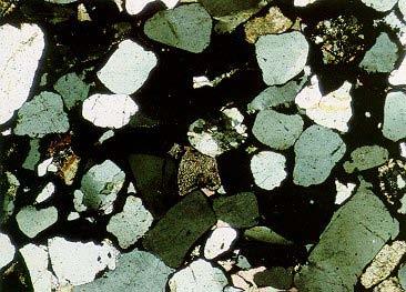 Photomicrograph-subrounded quartz grains which are single crystal Quartz grains - subangular to