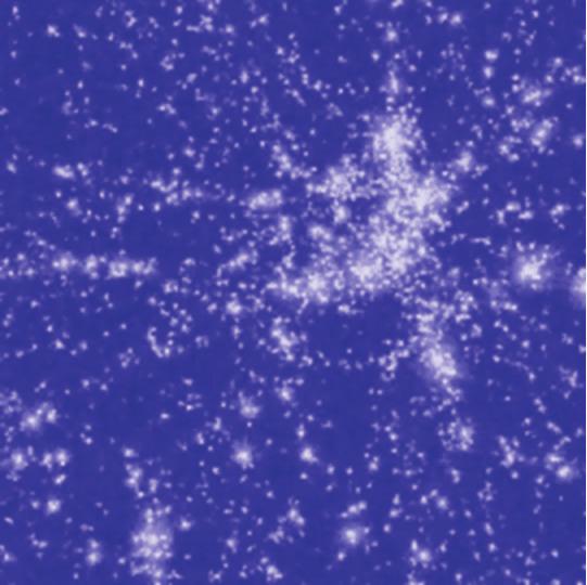 Lensing Observables Correlation of shear distortion of background images: cosmic shear Cross