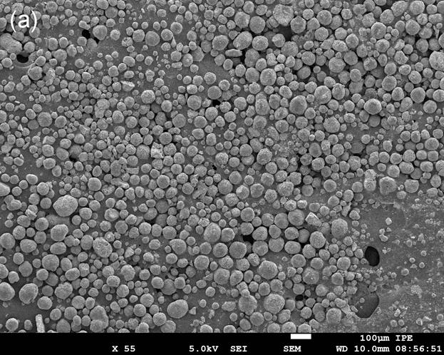 Fig. S7 SEM images of Pd2Pb8/alumina catalyst: (a) fresh