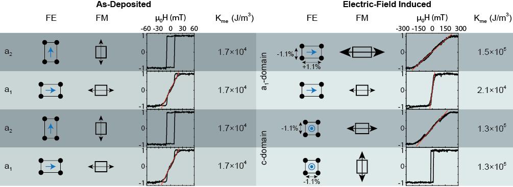 Figure 2. Strain-mediated relationship between local magnetic anisotropies in the CoFe film and the underlying ferroelectric domain structure of the BaTiO 3 substrate.