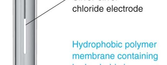 liquid-based electrode has a