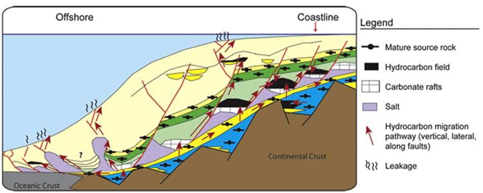 Generalized Stratigraphy of the Congo Basin and Petroleum system elements Source rocks: Early cretaceous