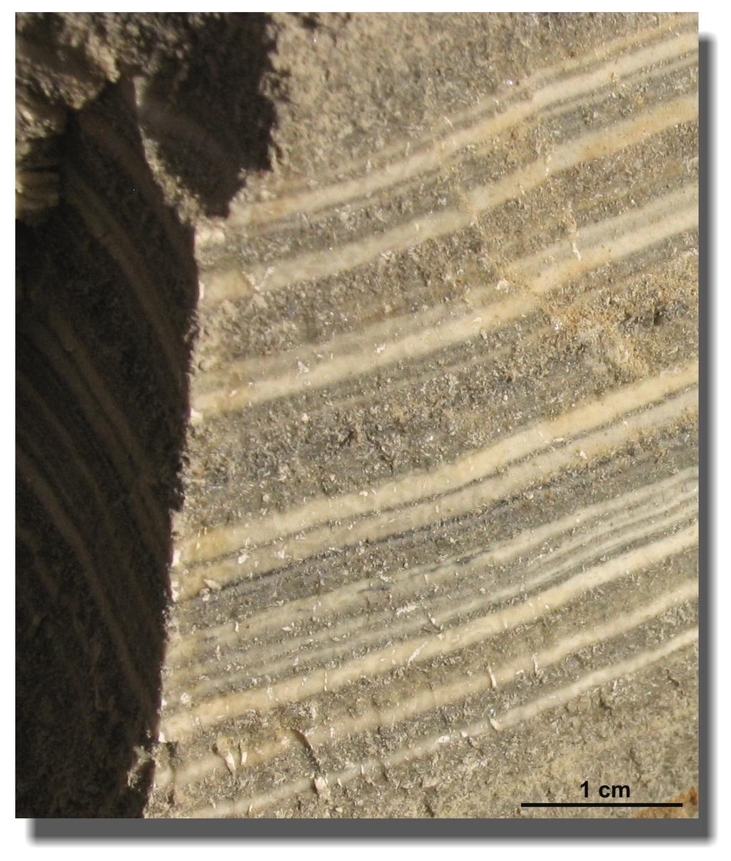 Ein Gedi sediment core Birkat Ram sediment core Ein Gedi sediment core Core material GFZ Potsdam (1997), laminated sediments (21 m, 10,000 years BP) Age-depth model from laminae