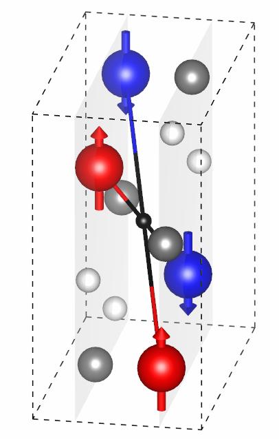 Coexistence of Topological Dirac fermions and Néel SOT?