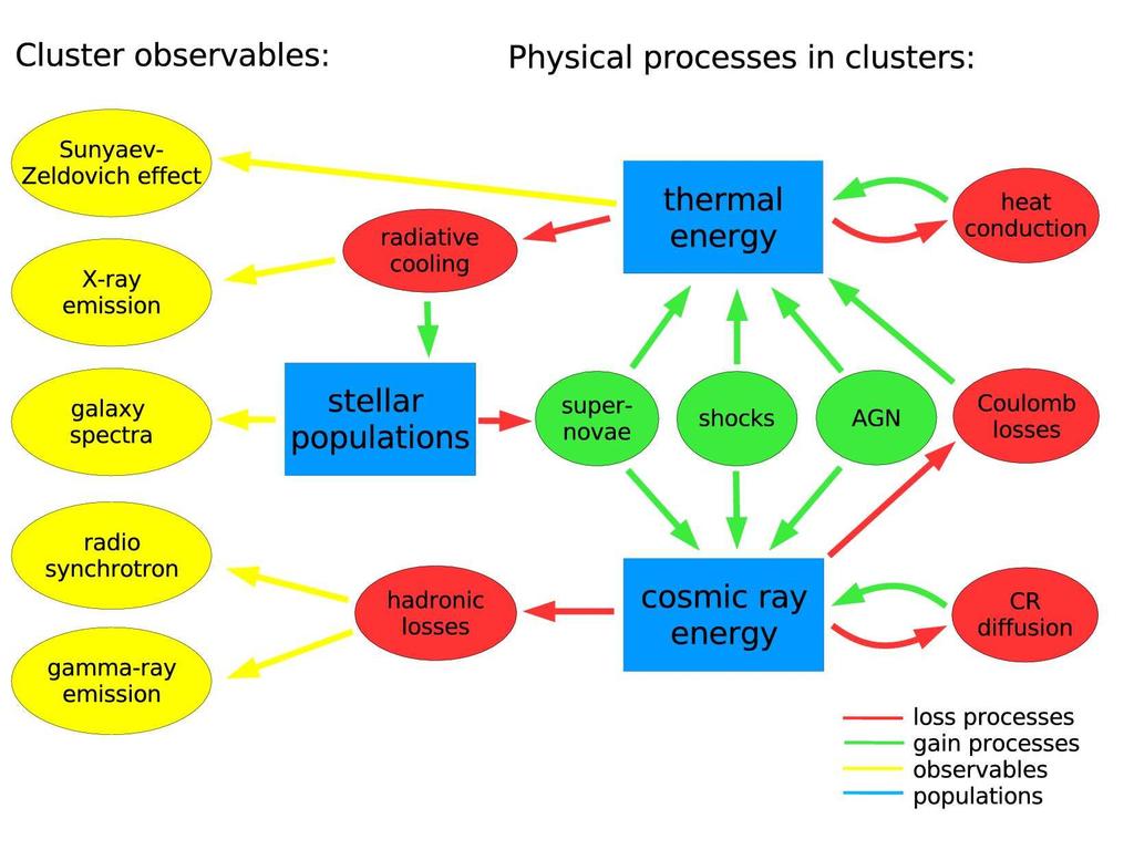 Clusters of galaxies: Physical Processes &