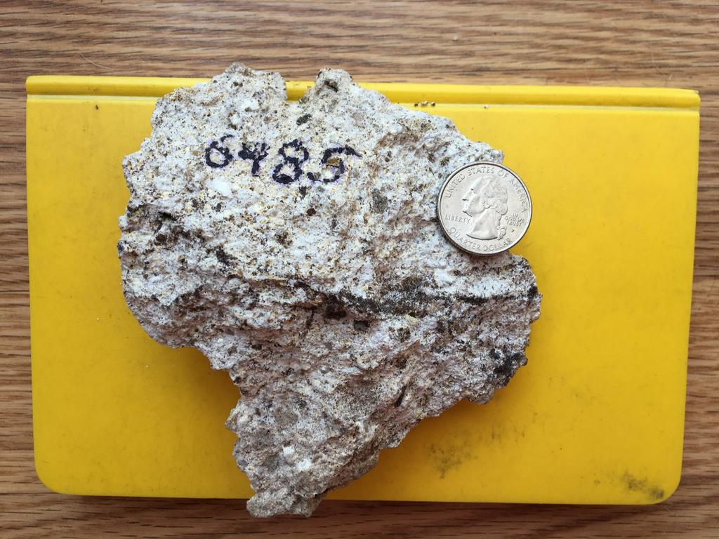 Figure 14 of the Technical Report. Diatreme breccia from Base Outcrop, author s sample 6485: 1.25 g/t Au, 6.3 g/t Ag. Note irregular veinlets marked with MnO. Coin diameter = 2.