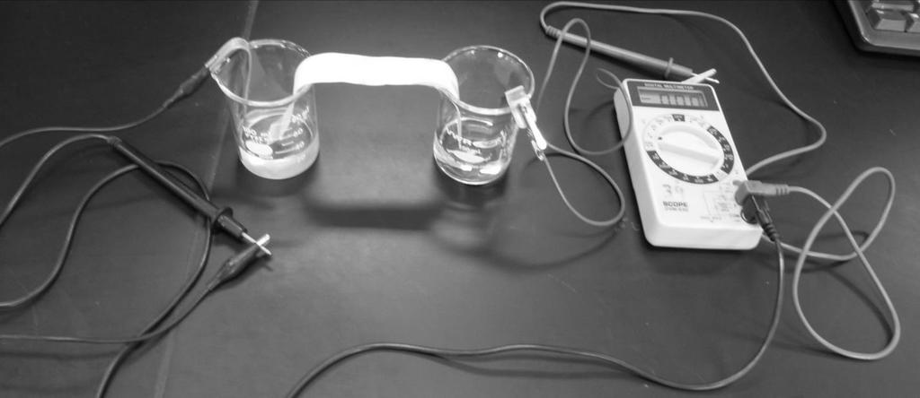 Experiment 11 ELECTROCHEMICAL CELLS Prepared by Ross S. Nord, Masanobu M. Yamauchi, and Stephen E.
