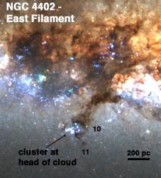13 Fig. 13. Cloud 10, the NGC 4402 eastern dust filament, and nearby dust complexes and stellar associations. rest of the structure.
