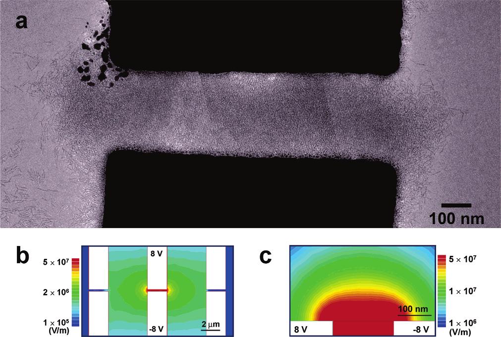 Figure 5. TEM image (created by pasting together three images) of an electrode gap (L ) 270 nm, W ) 1 µm) after deposition of CdSe NRs ( 5 10 13 rods/ml, E ) 3.0 10 7 V/m).