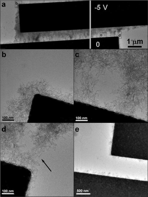Figure 6. TEM images of an electrode gap (L ) 400 nm, W ) 15 µm) after deposition of CdTe NRs ( 10 13 rods/ml) applying -5 V to the upper electrode and grounding the other (i.e., E ) 6.3 10 6 V/m).
