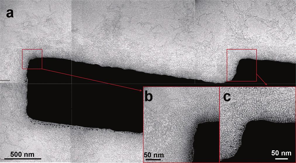 Figure 7. (a) TEM image (created by pasting together 5 images) showing accumulation of CdSe NRs around one electrode (L ) 1.
