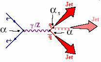 Discovery of a gluon jet Reputed to be the