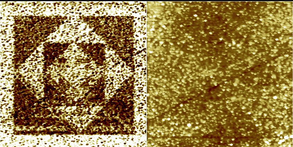 SCM on FerroElectric Film SCM dc/dv Topography 25 µm scans Sample: PZT