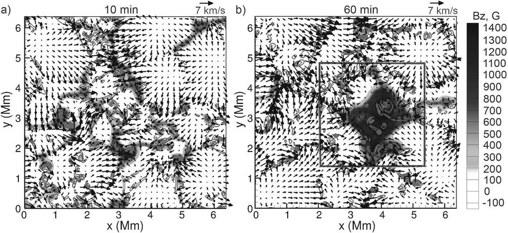 Modeling of turbulent MHD processes on the Sun 7 Figure.