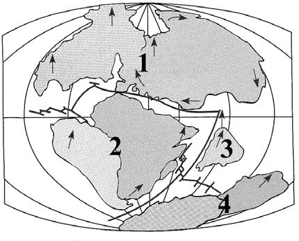 32. Use the figure to answer the corresponding question. 32. Based on the accompanying figure, the two present day continents that should have the most closely related plant and animal species are: A.