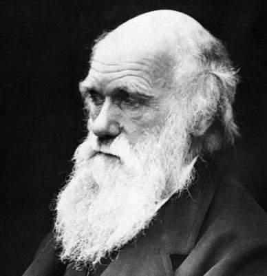 Charles Robert Darwin Darwin was an English naturalist with an intense passion for studying the natural world. Darwin developed his ideas and gathered evidence while aboard the H.M.S.