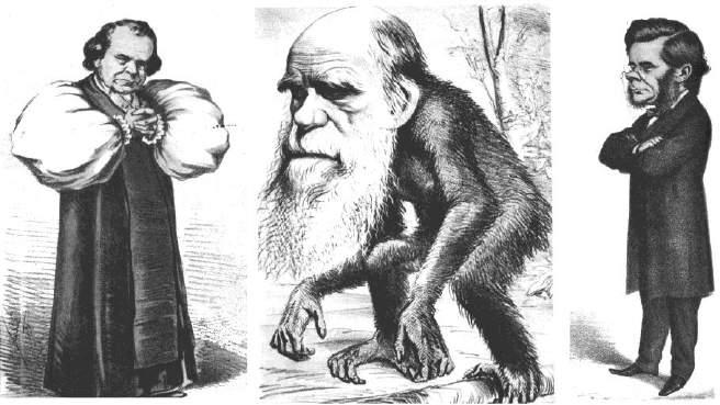 Upon his return to London, Darwin theorised that: a) gradual change over time did occur b) evolutionary change was very slow, requiring thousands to millions of years c) variation in a species occurs