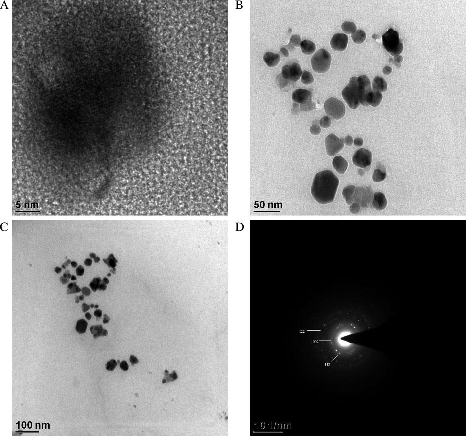 68 R. Sahana et al. Figure 5. HRTEM images of AgNPs formed after the addition of C. auriculata flower extract shown at different scales of (a) 5 nm, (b) 50 nm, (c) 100 nm, and (d) SAED pattern.