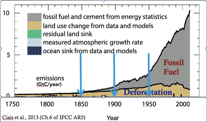 At 1950, half of A.C.E. is from deforestation Before 1850, almost all A.C.E. is from deforestation The Holocene epoch (~11,500 years) is ~75 times longer than the Industrial Times (~150 years).