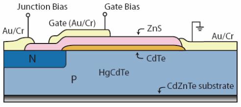 Chapter 9 Photodiode fabrication and characterisation Fig. 9.2 Cross section of complete gated photodiode structures with a ZnS insulation layer.