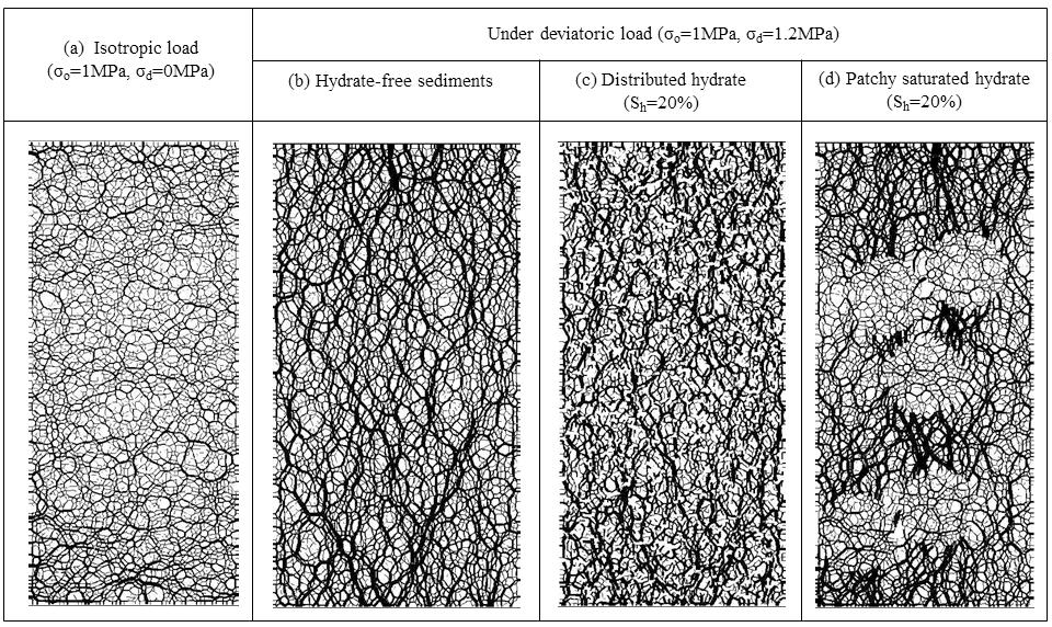 Figure 9. Normal contact force chains between mineral particles (2D simulations). Images are shown (a) after consolidation to 1 MPa of hydrate-free sediments and after an additional 1.