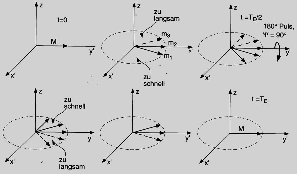 9 18 TE AQ t Spin-Echo-Experiment Erwin Hahn 9.