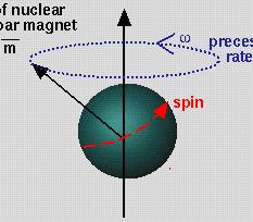 Proton magnetic moment B rotation charge 65 % water 1 g (H 2 O) = 3.34.