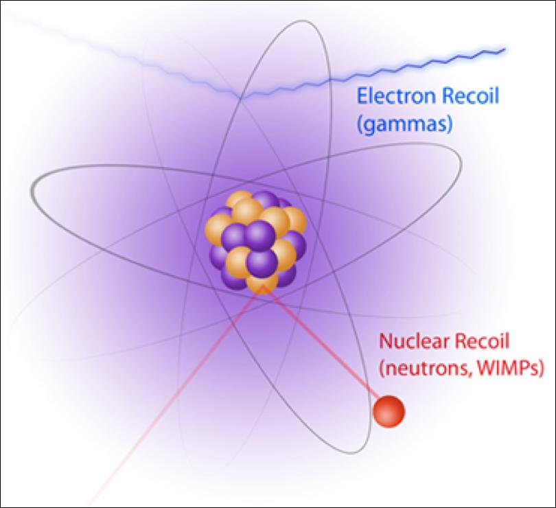 SCATTERING SCENARIO Dark matter particles scatter off nuclei elastically coherently: ~A 2