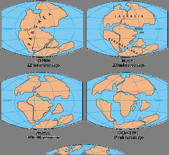 Continental Drift -Plate tectonics- 225