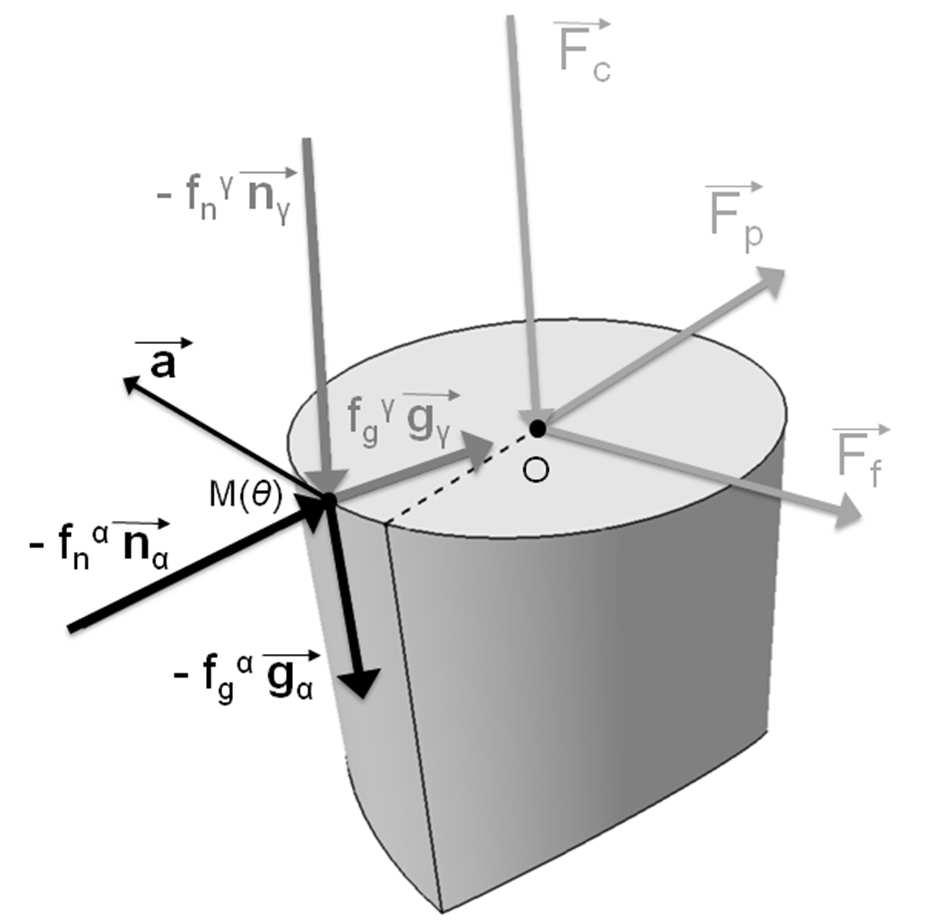 Cutting model. The local cutting forces applied on a segment (Fig. 7) are assumed to follow the equations (2) to (23).