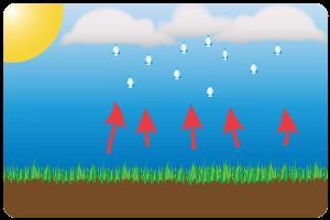 Three Types of Precipitation Relief