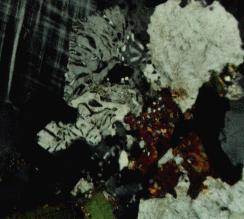 Biotite and muscovite are bright-colored grains. K-feldspar (gray and black) occurs at top. Fig. 6.