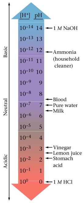 ph and acidity The ph values of several common substances are shown at the right.