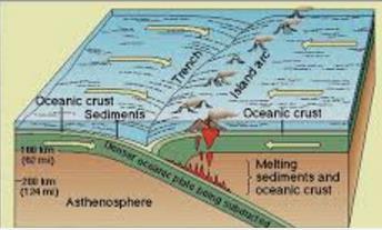 Figure 13 Geographic and geologic effects of ocean-continental convergent boundary. Oceanic-Oceanic A subduction zone also can form where two oceanic plates converge.