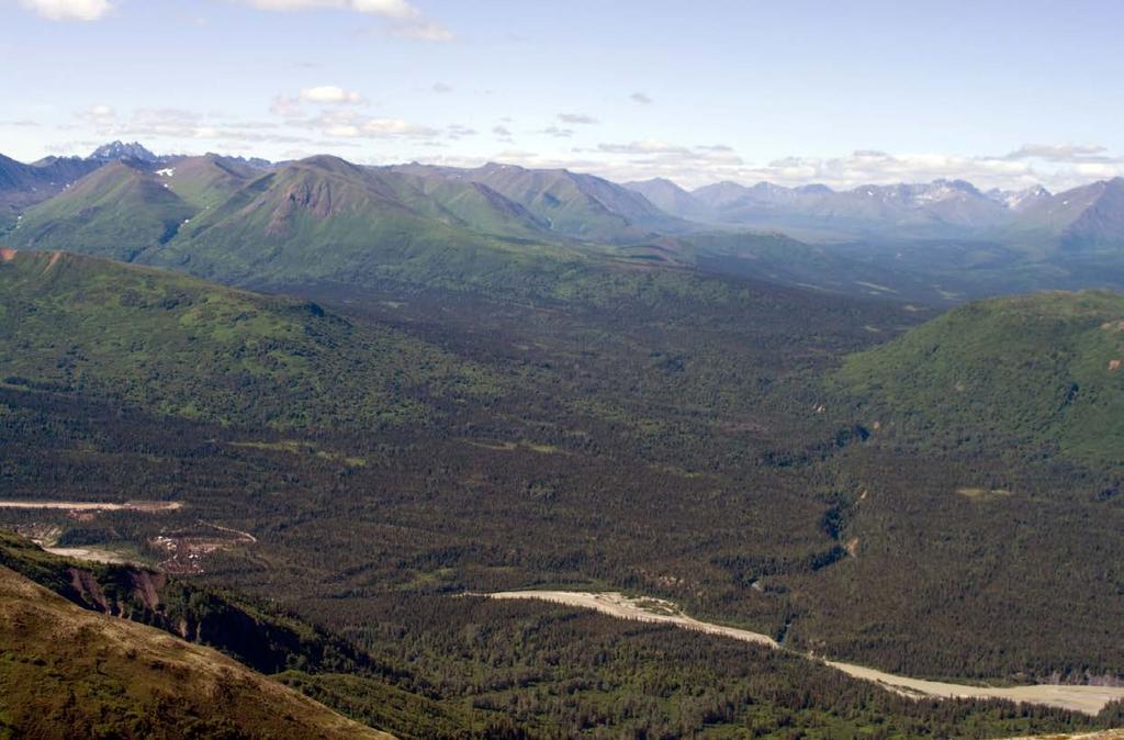Whistler Project satellite deposits & targets Snow Ridge Puntilla Round Mountain Looking NW Whistler Spur Targets Raintree