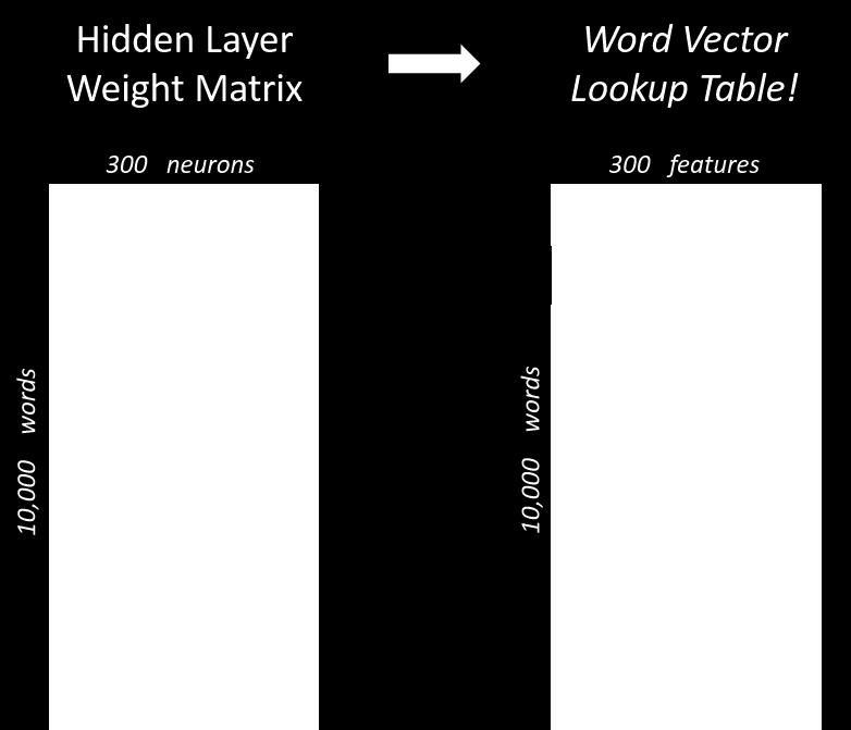 The Hidden Layer We wish to learn word vectors with 300 features.