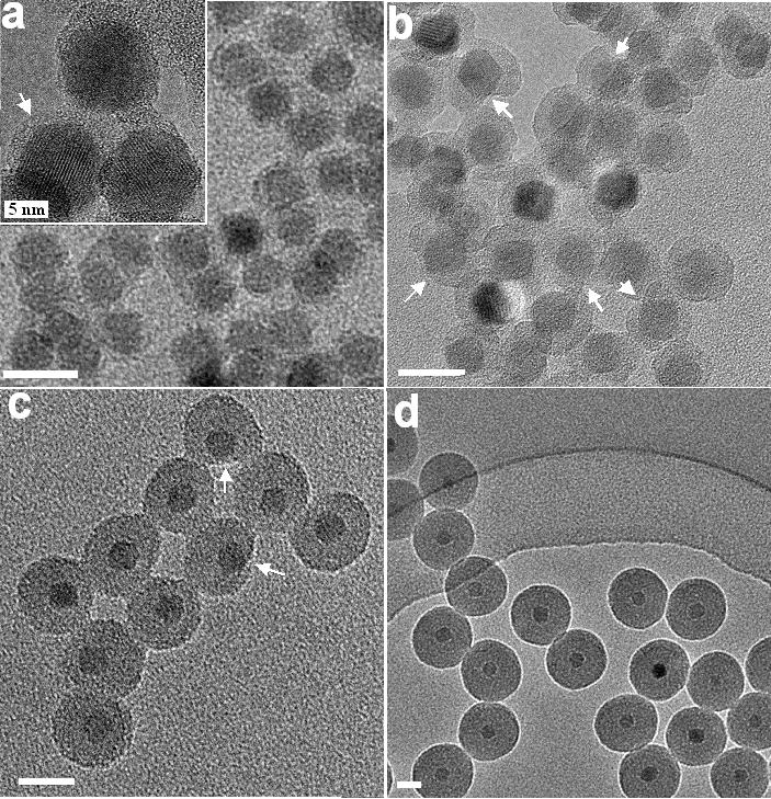 Solid-silica coated γ-fe 2 O 3 nanoparticles TEM micrographs of ~12 nm γ-fe 2 O 3 particles covered with solid silica shell.