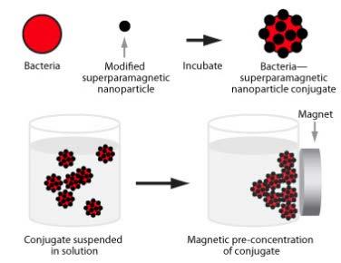 Nanoparticles in action A.