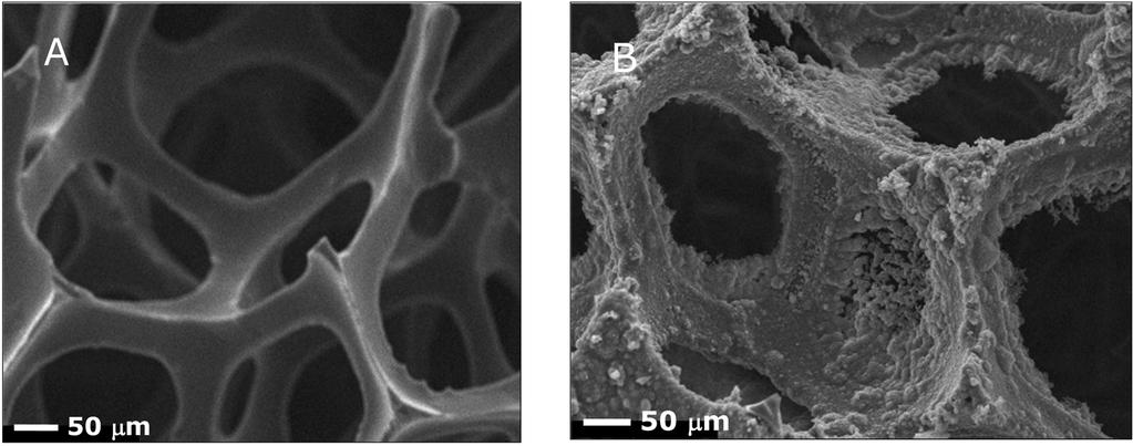 Polypyrrole-Coated Reticulated Vitreous Carbon as Anode Bull. Korean Chem. Soc. 2008, Vol. 29, No. 1 169 was used as a fuel. Fuel cell setup.