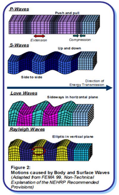9 The figure below is to show how the body wave (P-waves and S-waves) and surface wave (Love-waves and Rayleigh waves) moved. Figure 2.