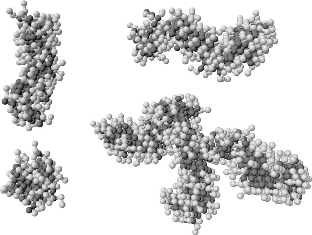 178 Nelson, Rutledge and Hatton: Self-assembled micelles FIG. 3. Micellar size distribution fitted to the forms expected for spherical and cylindrical micelles in the 7.