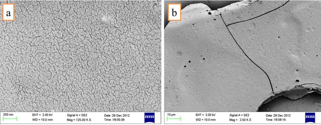 Figure 4.9: EDS spectra of Silica sol-gel thin film 4.4.5. Field Emission Scanning Electron Microscopy FESEM micrographs of surface of silica sol-gel thin film are shown in Figure 4.10.