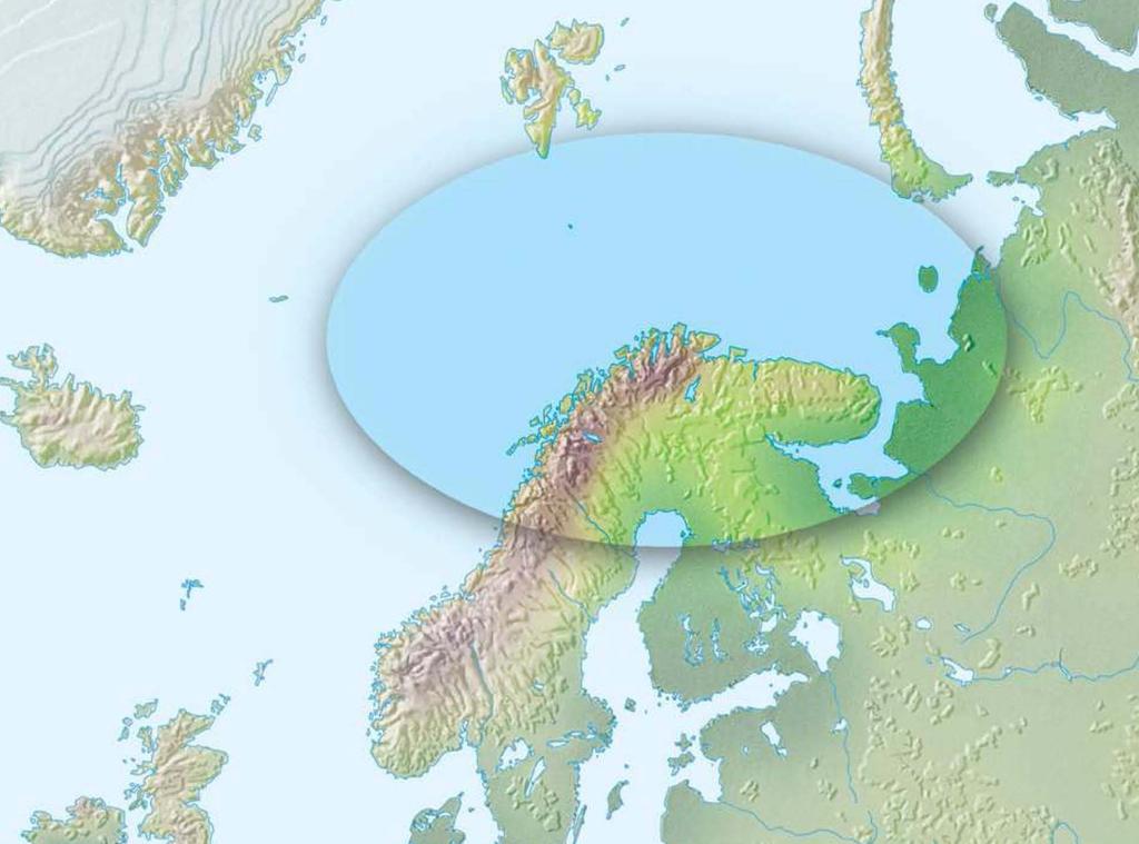 Raw materials of the Arctic Region