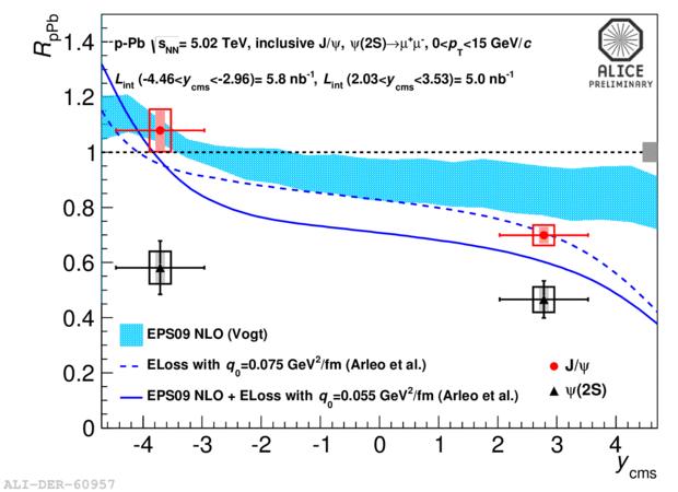 rapidity and it is compared with the PHENIX results in d-au collisions at s NN = 0.2 TeV.