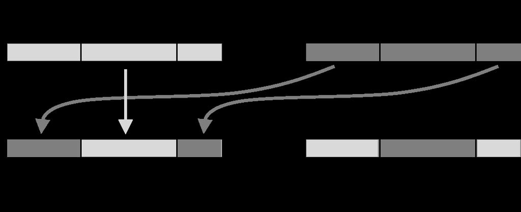 pgenetic Operators: 2-point crossover mixing of two parents