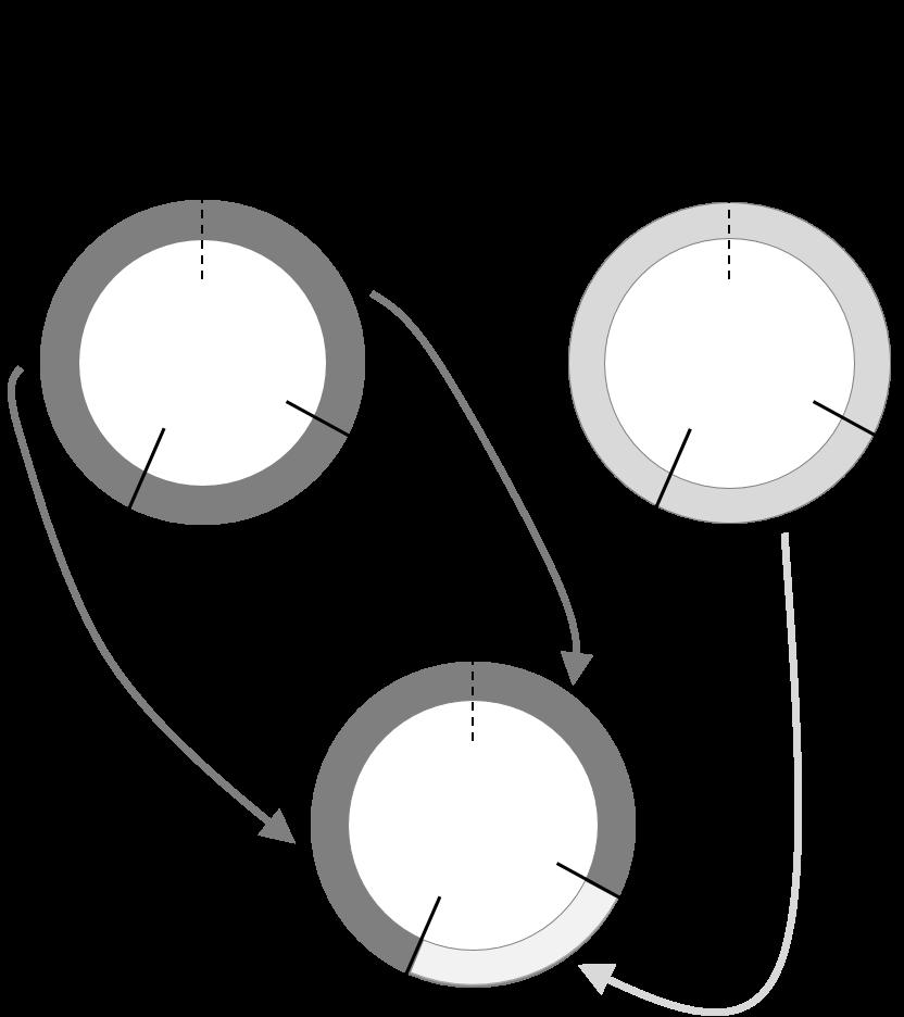 pgenetic Operators: 2-point crossover mixing of two parents determined by two crossing